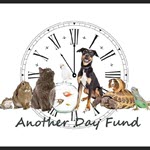 Another Day Pet Fund