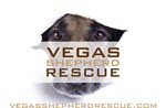 Vegas Shepherd Rescue