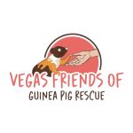 Vegas Friends of Guinea Pig Rescue