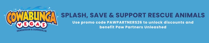 Cowabunga Bay - Website banner