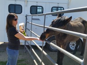 2 – PROGRAMS pg 1 (Our Programs) 2 - PROGRAMS pg 1 (Our Programs)